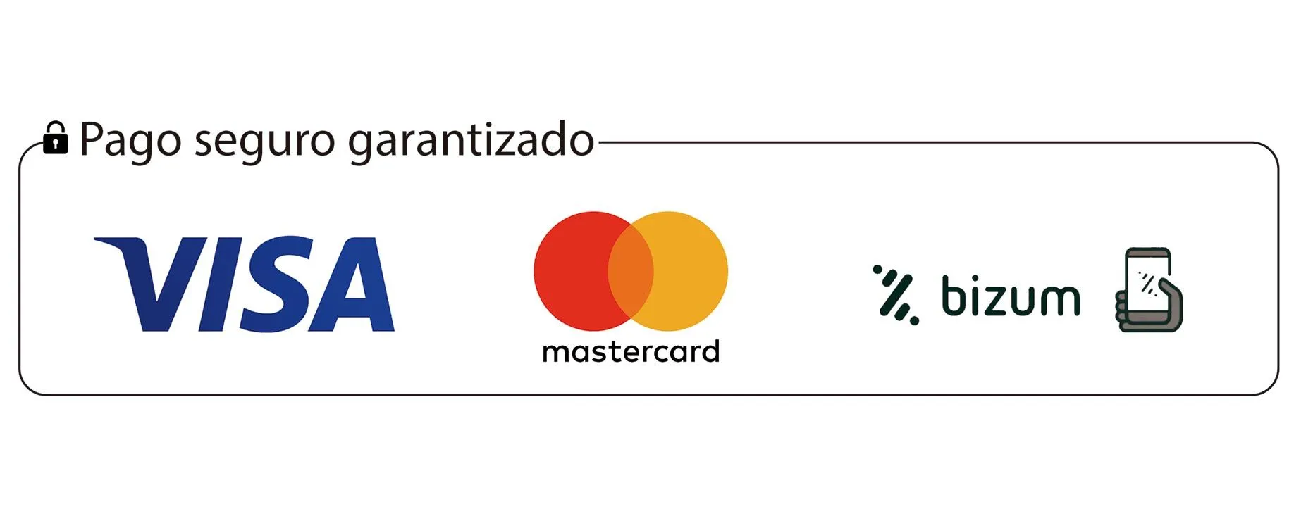 Pago-seguro-bizum.webp